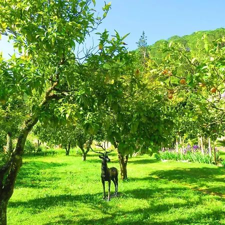 Charming House With Shared Pool In Porto De Mos. Porto de Mós