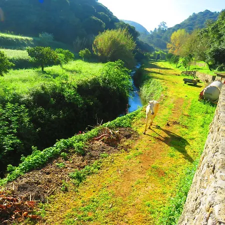 Casa vacanze Charming House With Shared Pool In Porto De Mos. *