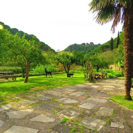 Charming House With Shared Pool In Porto De Mos. *