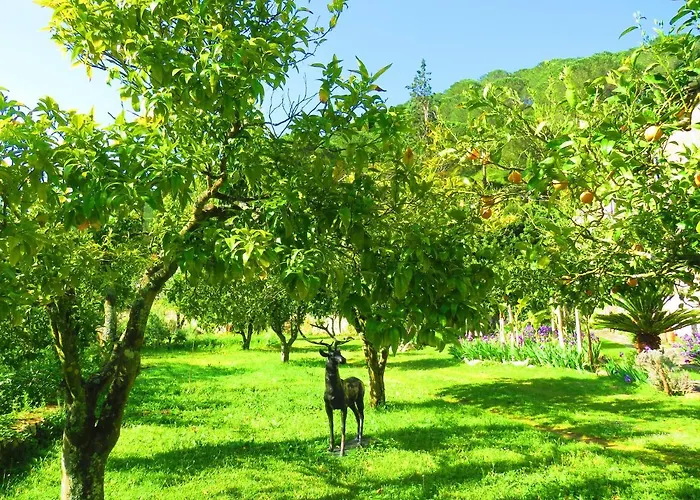 Charming House With Shared Pool In Porto De Mos. Porto de Mós