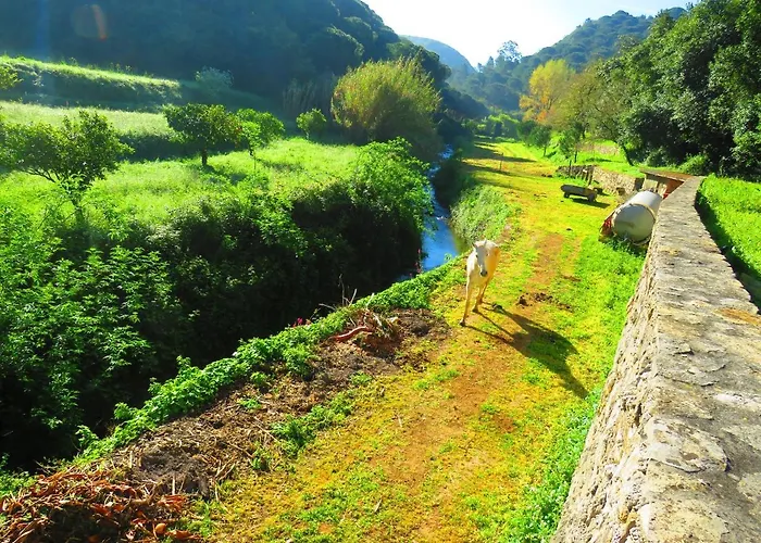 Hébergement de vacances Charming House With Shared Pool In Porto De Mos. *