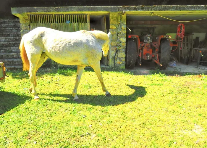 Charming House With Shared Pool In Porto De Mos. Porto de Mós
