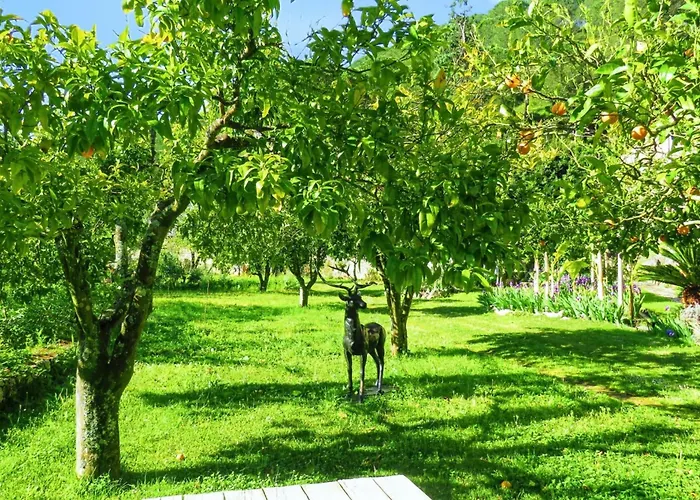 Hébergement de vacances Charming House With Shared Pool In Porto De Mos. *