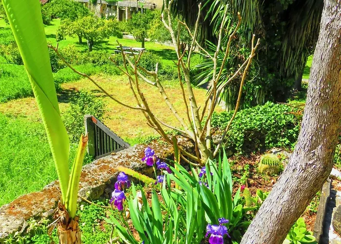 Charming House With Shared Pool In Porto De Mos. *